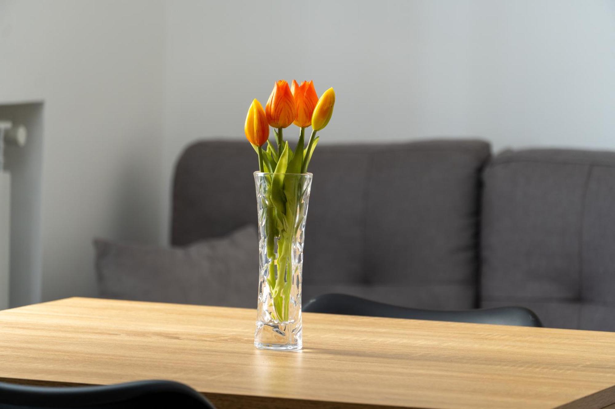 Marle Apartment 팔레르모 외부 사진